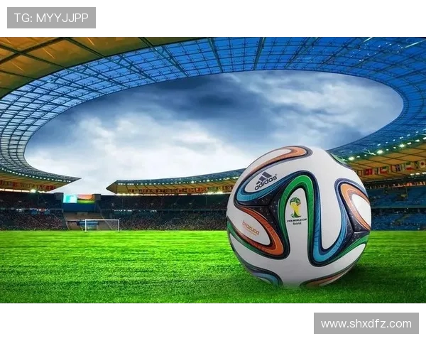 探索体育运动的无限可能：从竞技精神到健康生活的全面分析