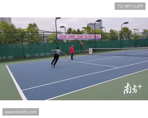 网球运动的魅力与发展：从基础技术到职业赛场的全方位解析