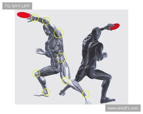 乒乓球运动的魅力与发展历程：从技术革新到国际化的全面解析