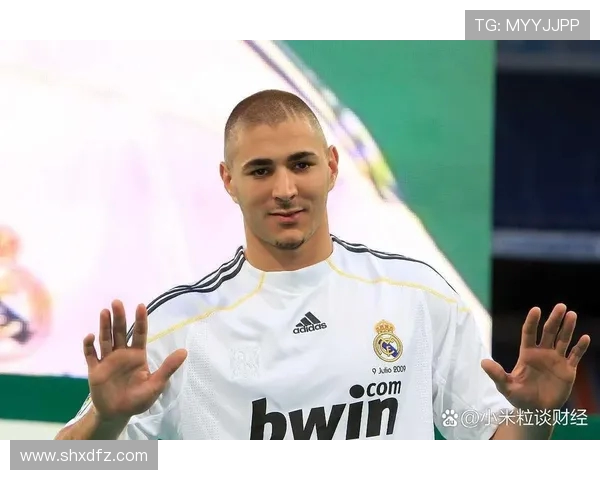 卡里姆·本泽马：从梅斯少年到世界足坛巨星的辉煌历程