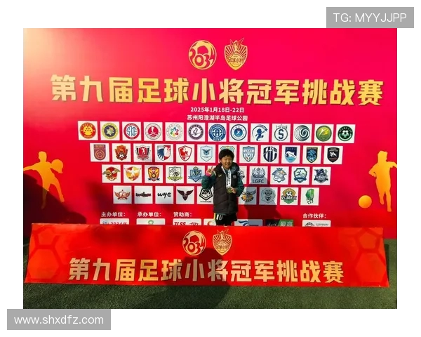 衡阳足球队崛起之路：从地方球队到全国赛场的奋斗与突破