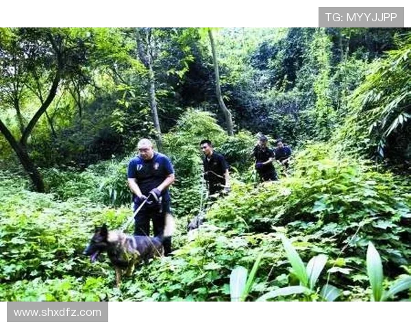 重庆极限运动队成员个人能力深度对比与分析