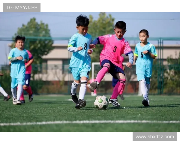 探索体育运动的无限可能：从基础训练到竞技巅峰的全面发展之路