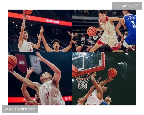 博格丹博格达诺维奇的篮球之路与未来发展展望